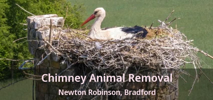 Chimney Animal Removal Newton Robinson, Bradford - ON