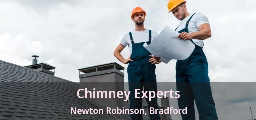 Chimney Experts Newton Robinson, Bradford - ON