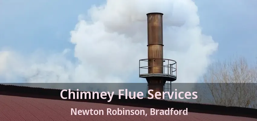 Chimney Flue Services Newton Robinson, Bradford - ON