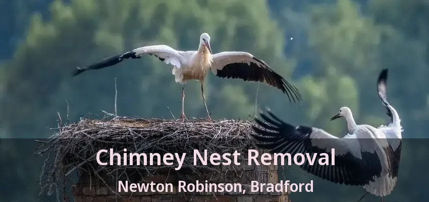 Chimney Nest Removal Newton Robinson, Bradford - ON
