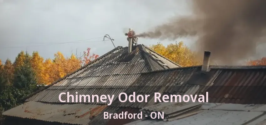 Chimney Odor Removal Bradford - ON