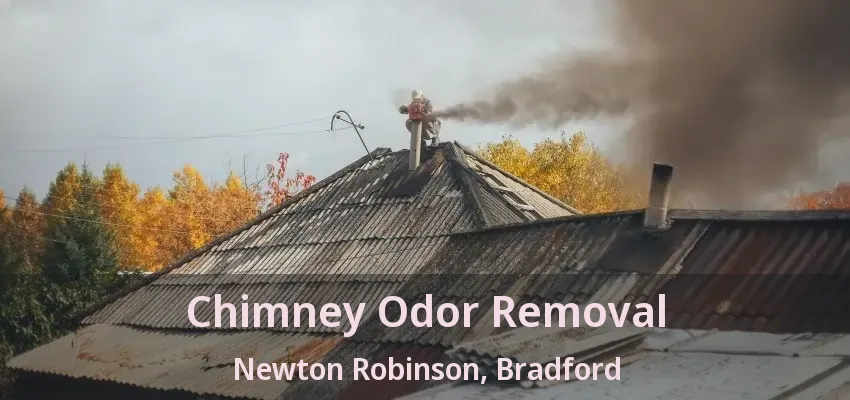 Chimney Odor Removal Newton Robinson, Bradford - ON