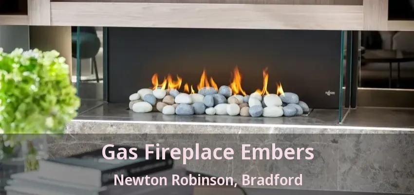 Gas Fireplace Embers Newton Robinson, Bradford - ON