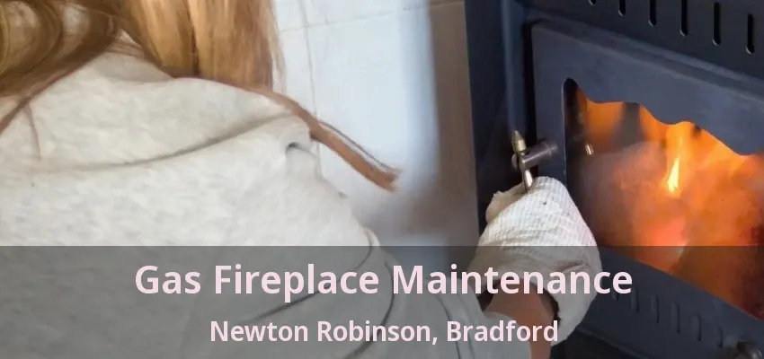 Gas Fireplace Maintenance Newton Robinson, Bradford - ON
