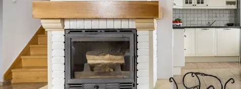 Book for Fireplace Cleaning